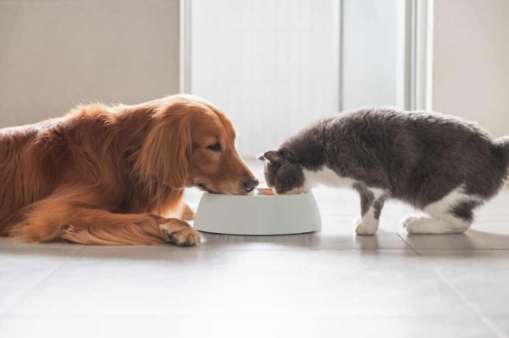 Prioritizing Safe Pet Food Ingredients: Acadian Tasco® Style